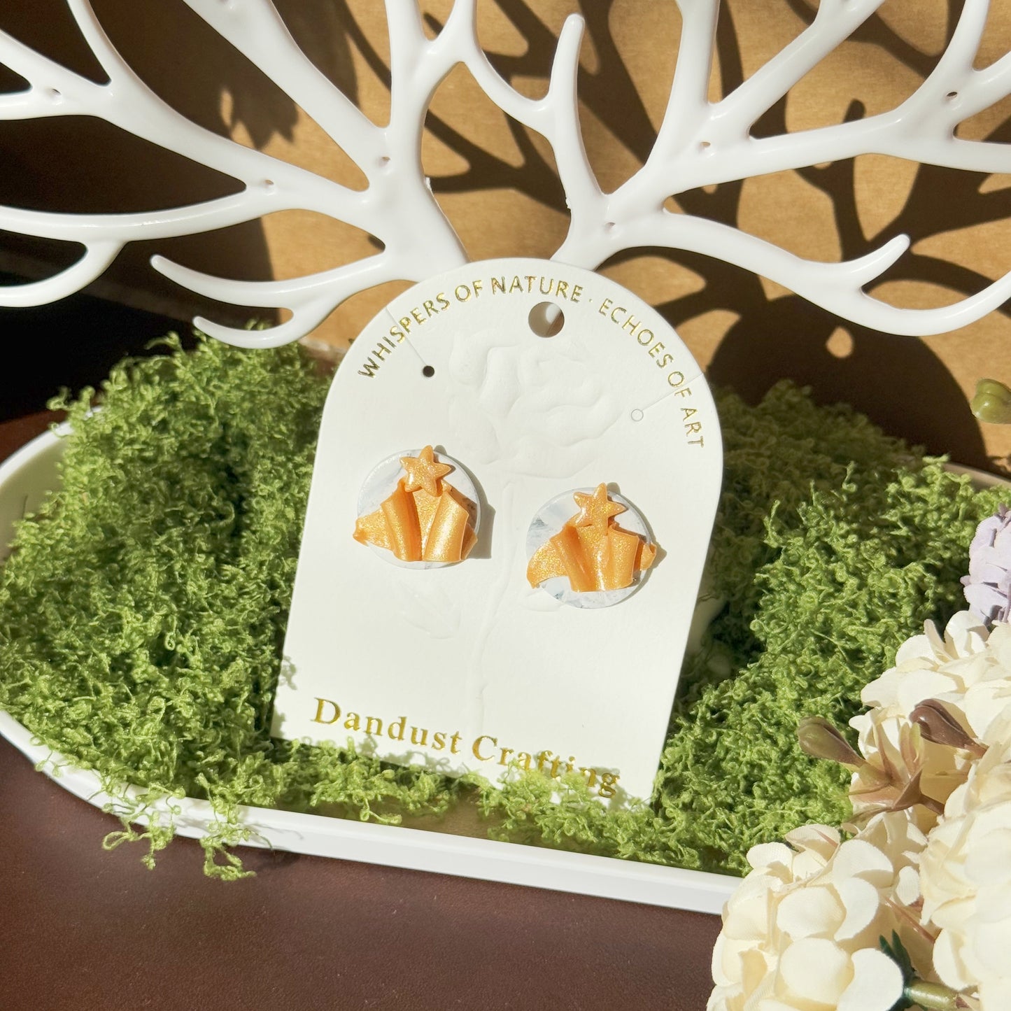 S925 Sterling Silver Earrings - Christmas Gift (R01)