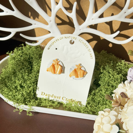 S925 Sterling Silver Earrings - Christmas Gift (R01)