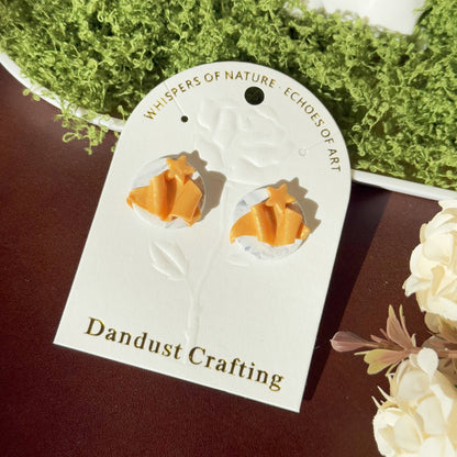 S925 Sterling Silver Earrings - Christmas Gift (R01)