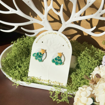 S925 Sterling Silver Earrings - Christmas Gift (R01)